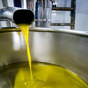 Zeytin dalları ve Hindistan cevizi yanında cam kaplarda zeytinyağı ve bitkisel yağlar
